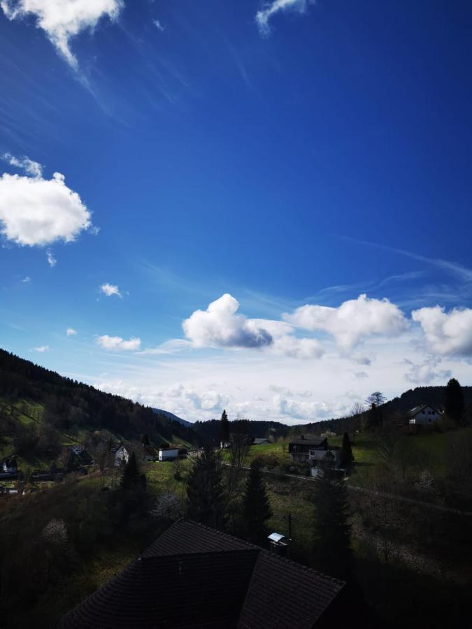 Miu'S Ferienwohnung Alpirsbach Exteriér fotografie